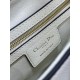 Dior Saddle Latte Grained Calfskin Shoulder Bags for Women