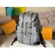 Louis Vuitton Christopher MM Backpack N41379 Backpack