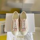 Dior Walk'N'Dior Platform Sneaker Size 36-41 Oblique-1